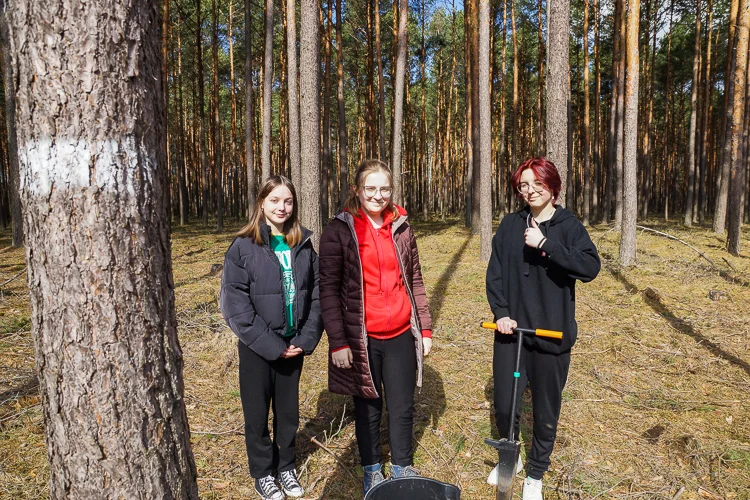 Uczniowie podczas sadzenia lasu