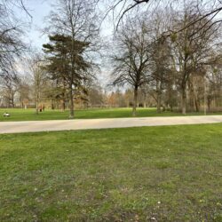 Park w Dreźnie.
